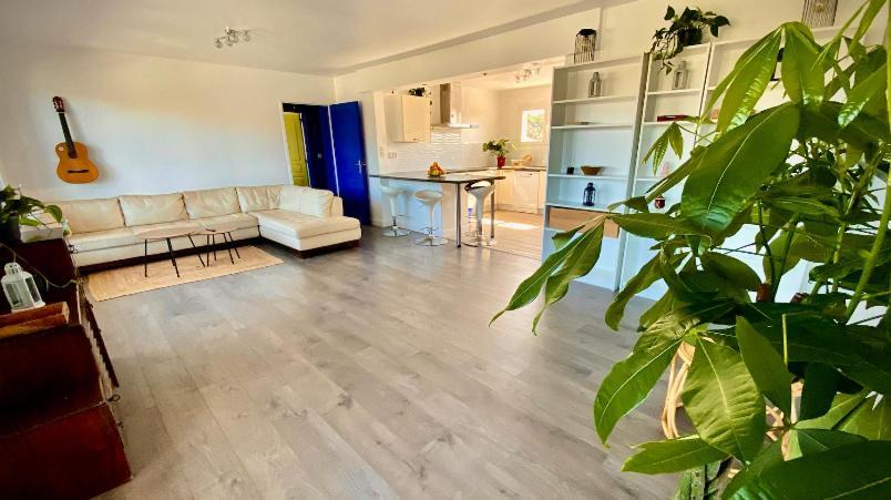 Sewa Surf House 10Min De Capbreton Hossegor Hotell Bénesse-Maremne Exteriör bild