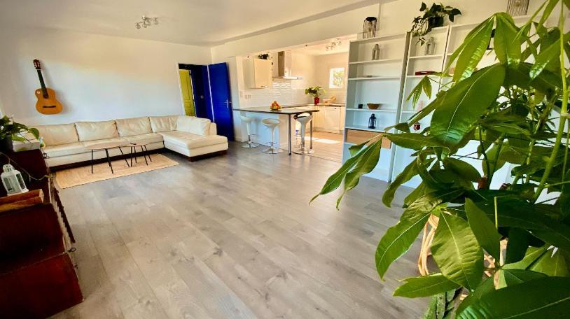 Sewa Surf House 10Min De Capbreton Hossegor Hotell Bénesse-Maremne Exteriör bild