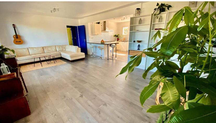 Sewa Surf House 10Min De Capbreton Hossegor Hotell Bénesse-Maremne Exteriör bild
